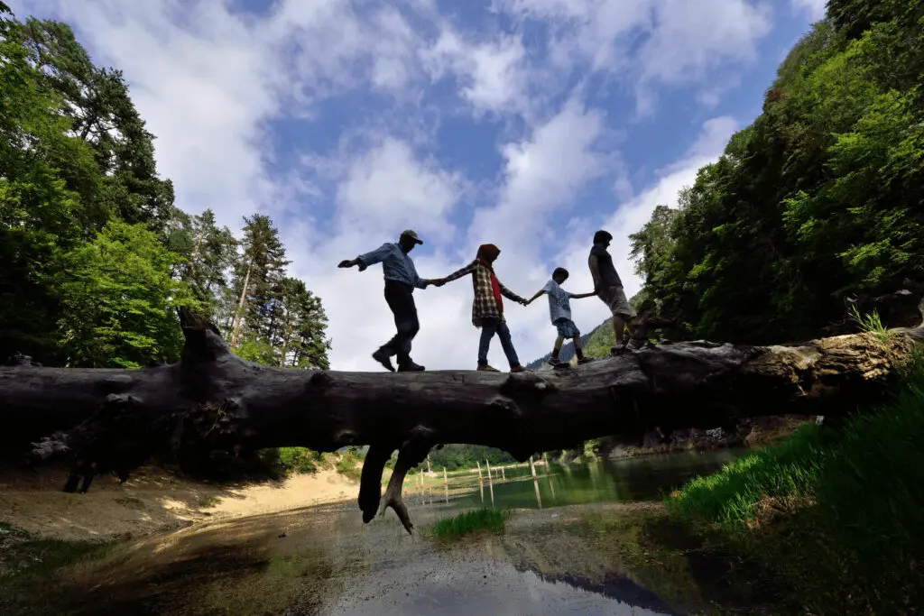 Family walking on tree over water